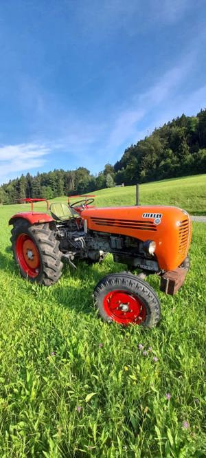 Steyr 188 Bild 2