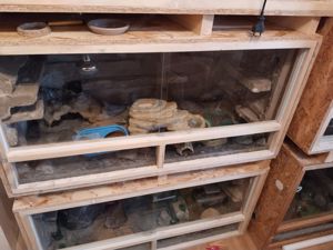 Holz Terrarium zu verkaufen