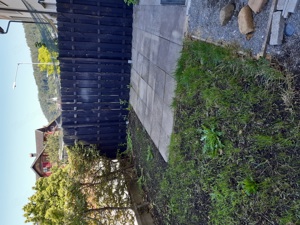 Große gepflegte 2 Zimmerwohnung (78m ) im Zentrum von Klaus zu vermieten Bild 8