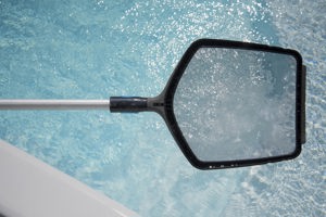 Laubkescher für Schwimmbad mit Teleskopstange