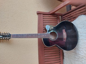 Tolle Ibanez 12 string