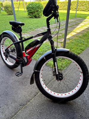  E-Bike Fatbike