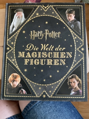 Harry Potter die Welt der magischen Figuren