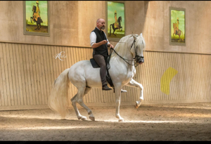 Akademische Reitkunst -Bent Branderup Seminar