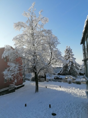 Flohmarkt des SC Graf Hatlerforf