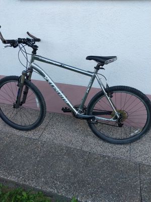 fahrad mountainbike    stumpjumper speciallzed 26x2,00 199,00 Bild 3