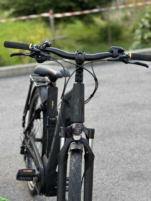 E-bike Scott Damen Elektrofahrrad Scott Sub Sport eRIDE 20