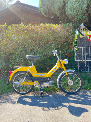 Puch Maxi L  Bild 2