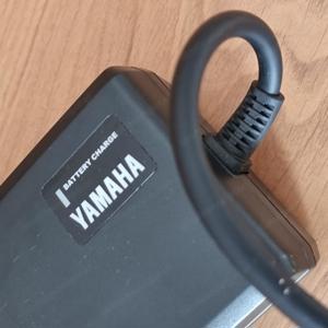 Original E-Bike Ladegerät Ladekabel YAMAHA PASC6
