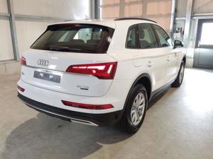 Audi Q5 40 TDI MHEV 204 PS Quattro S-Tronic-Navi-ACC-Ka... Bild 4