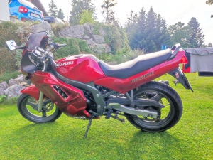 Suzuki GS 500 E 