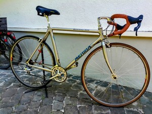 RENRRAD MERIDA EXTREME 905 Bild 2