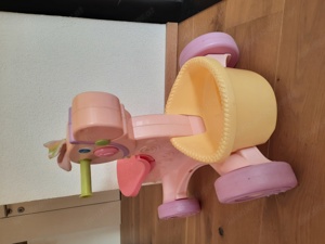 Kinder Pferdchen fahrend mit Musik Bild 1