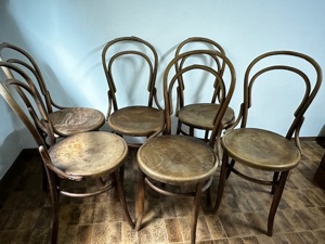 6 Thonet Fischel Stühle 