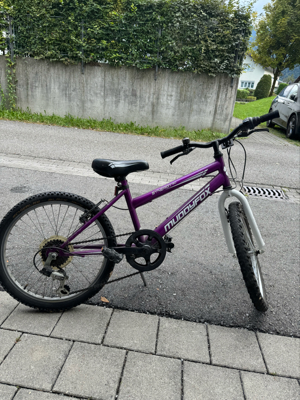 fahrrad Bild 2