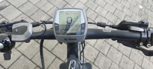 Herren E-Bike Gepida 1000 Bild 2