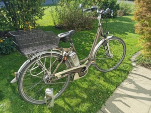 Damen E-Bike