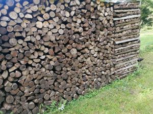  8 Meter Brennholz Esche Buche.  Bild 2