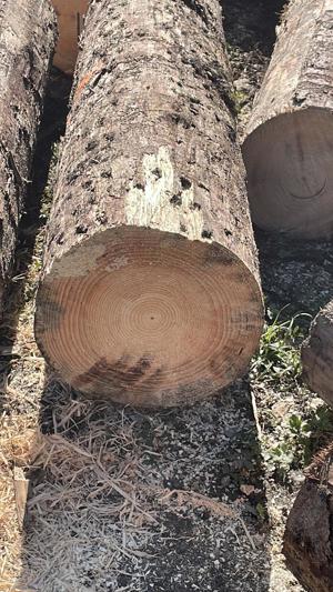 Holz  Brennholz