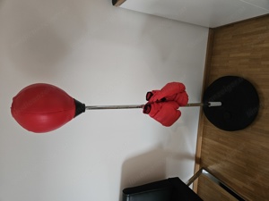 Gebrauchter Punchingball