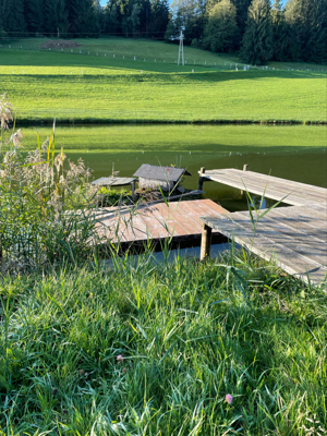 großzügig ruhiges, idyllisches gelegenes Grundstück in Möggers zu verkaufen Bild 6