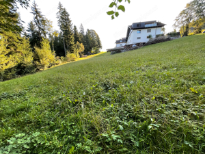 großzügig ruhiges, idyllisches gelegenes Grundstück in Möggers zu verkaufen Bild 4