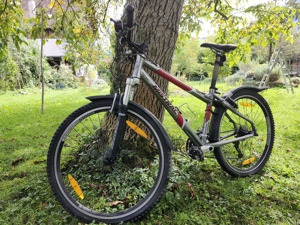 Mountainbike Damenrad Jugendrad Kinderrad Fahrrad