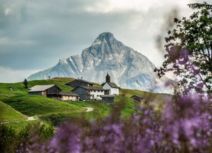 Haus und Wohnungsbetreuung