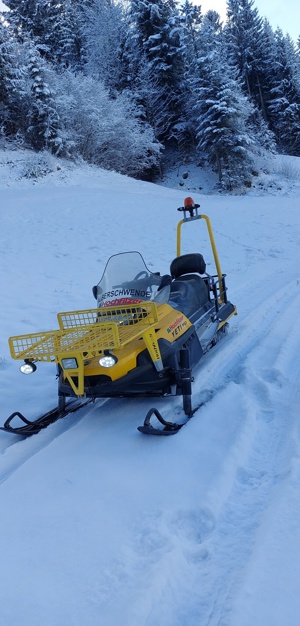 Skidoo Lynx Yeti V800