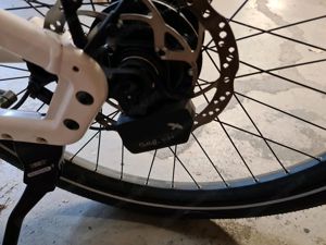 Riese & Müller Homage GT Rohloff E-14 pearl white Gr. 54 Bild 4