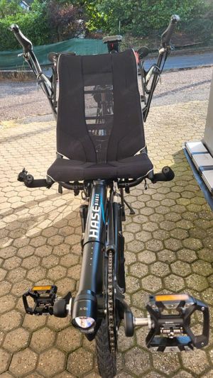 Tandem Hase Pino mit Motor als Unikat Bild 7