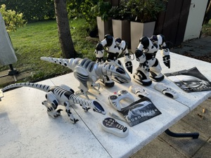 Roboraptor robosapiens Bild 5