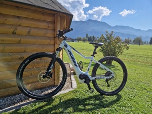 KTM E-Bike Macina Alp  Bild 2