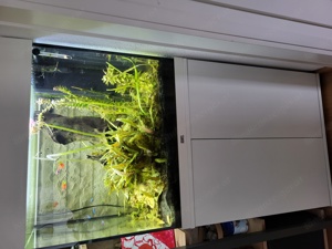 Aquarium Lido 120 mit Unterschrank Bild 1