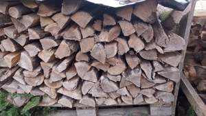 trockenes Brennholz Bild 2