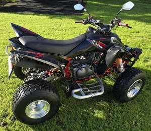 Quad Yamaha Raptor YMF 350  Bild 4