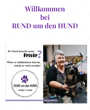 Hundesalon Rund um den Hund 