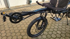 Tandem Hase Pino mit Motor als Unikat Bild 6