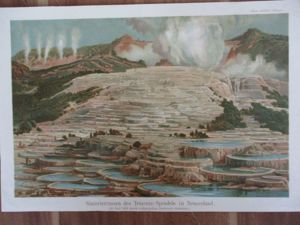 SINTERTERASSEN  Neuseeland Tetarata-Sprudel  Chromolithographie um Jg.1900  Versand   1,90