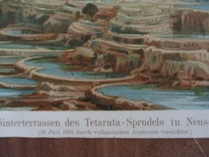 SINTERTERASSEN  Neuseeland Tetarata-Sprudel  Chromolithographie um Jg.1900  Versand   1,90 Bild 2