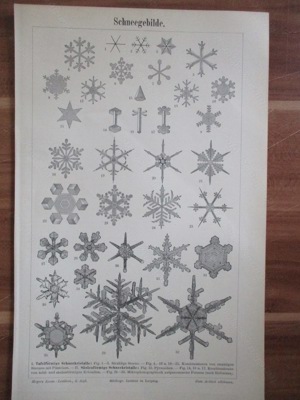 Schneegebilde Schneekristalle orig. Holzstich Jg. 1895, Versand    1,60