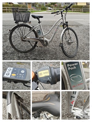 Flyer E-Bike Damenrad