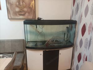 Aquarium mit unter Schrank Bild 4