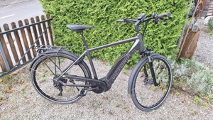 Trekking E-Bike Victoria 10.9