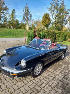 Alfa Romeo Spider 2.0 Cabrio Oldtimer Bild 3