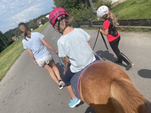 Reitbeteiligung auf Pony für Erwachsene mit Kind ern bis 40 kg  Bild 2