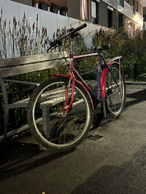 Fahrrad 12 Gänge Bild 9