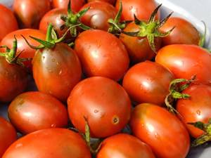 Tomate Black Plum Bio Tomatensamen