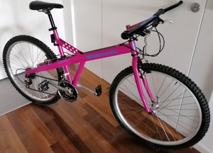 Schnäppchen Mountainbike Bike Fahrrad Rad Samsonite Gotland Einzelstück  Bild 1