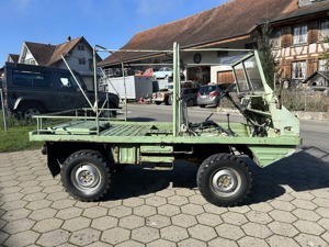 Haflinger Steyr Puch Bild 3